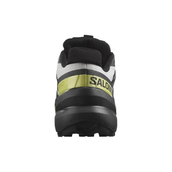 Salomon SPEEDCROSS 6 Gore-Tex «Gray Green Black»