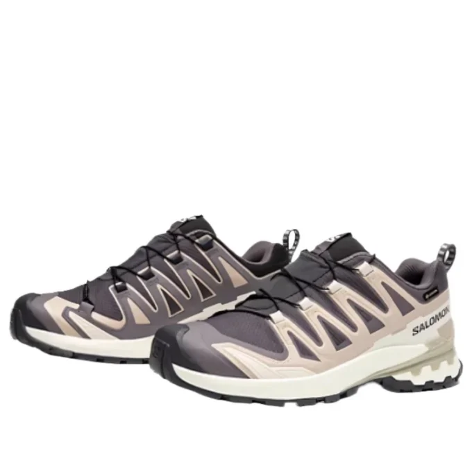 Salomon XA PRO 3D V9 GTX “Σκούρο γκρι Μπεζ”