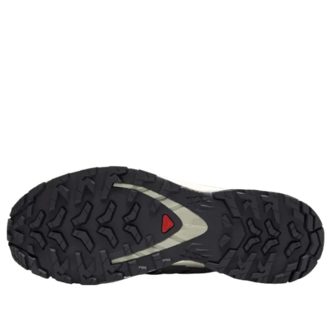 Salomon XA PRO 3D V9 GTX “Σκούρο γκρι Μπεζ”