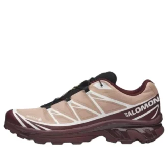 Salomon XT-6 Gore-Tex «Mahogany Rose»
