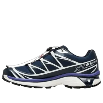 XT-6 Gore-Tex «Carbon Vanilla Ice»