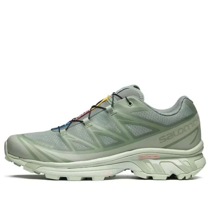 XT-6 Gore-Tex «Desert Sage Lily Pad» XT-6 Gore-Tex «Desert Sage Lily Pad»