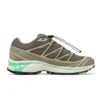 XT-6 Gore-Tex «Olive Night Dried Herb»