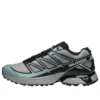XT-PATHWAY “Ghost Grey Arona” XT-PATHWAY “Ghost Grey Arona”